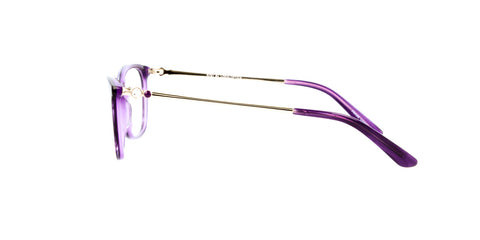 Reflection R781